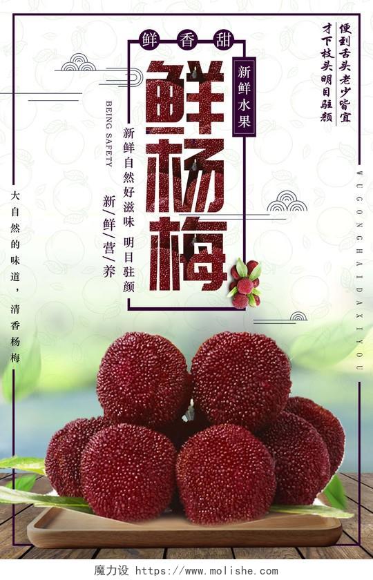 创意展台新鲜杨梅水果宣传海报